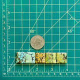 Medium Mixed Bar Mixed Turquoise, Set of 5 Dimensions