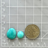 Small Sky Blue Freeform Kingman Turquoise, Set of 2 Dimensions