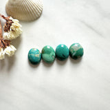Small Sea Green Freeform Fox Turquoise, Set of 4 Background