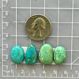 Medium Mixed Freeform Number 8 Turquoise, Set of 4 Dimensions