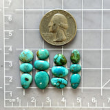 Small Sky Blue Mixed Lone Mountain Turquoise, Set of 12 Dimensions