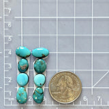 Small Ocean Blue Freeform Kingman Turquoise, Set of 8 Dimensions