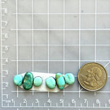 Small Sky Blue Mixed Lone Mountain Turquoise, Set of 6 Dimensions