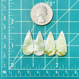 Large Mint Green Teardrop Green Serpentine Serpentine, Set of 4 Dimensions
