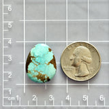 Sky Blue Fox Turquoise Top Drilled Briolette