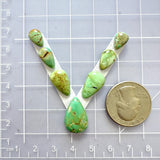 Small Lime Green Teardrop Crescent Lake Variscite, Set of 7 Dimensions