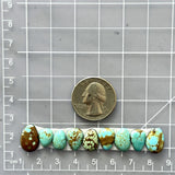 Small Mixed Mixed Number 8 Turquoise, Set of 9 Dimensions
