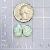 Medium Sky Blue Mixed Carico Lake Turquoise, Set of 2 Dimensions