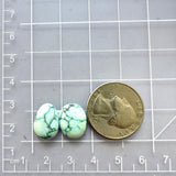Small Sky Blue Mixed Sonora Turquoise, Set of 2 Dimensions