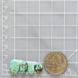 Small Faint Green Freeform Carico Lake Turquoise, Set of 4 Dimensions
