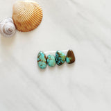 Small Mint Green Mixed Carico Lake Turquoise, Set of 4 Background