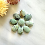 Small Mint Green Mixed Crescent Lake Variscite, Set of 9 Background