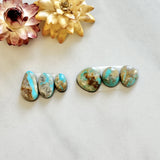 Small Faint Blue Freeform Royston Turquoise, Set of 6 Background