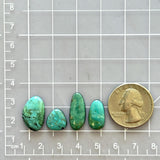 Small Sky Blue Freeform Kingman Turquoise, Set of 4 Dimensions