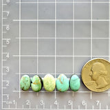 Small Mixed Mixed Mixed Turquoise, Set of 5 Dimensions