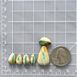 Medium Sky Blue Mixed Royston Turquoise, Set of 6 Dimensions