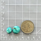 Small Sky Blue Freeform Royston Turquoise, Set of 2 Dimensions