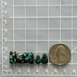 Small Bamboo Green Mixed Bamboo Mountain Turquoise, Set of 6 Dimensions