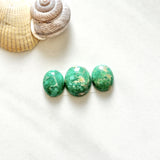 Small Sea Green Oval Lucid Variscite, Set of 3 Background