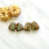 Small Mint Green Freeform Royston Turquoise, Set of 4 Background