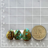 Medium Sky Blue Freeform Number 8 Turquoise, Set of 3 Dimensions