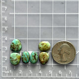 Small Sea Green Mixed Tyrone Turquoise, Set of 6 Dimensions