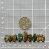 Small Mixed Mixed Royston Turquoise, Set of 9 Dimensions