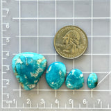 Medium Sky Blue Freeform Fox Turquoise, Set of 4 Dimensions