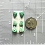 Small Mint Green Teardrop Namtso Lake Turquoise, Set of 6 Dimensions