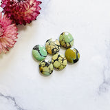 Small Mixed Oval Mixed Turquoise, Set of 6 Background