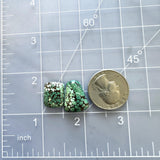Medium Deep Green Mixed Treasure Mountain Turquoise, Set of 2 Dimensions