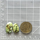 Medium Sea Green Mixed Treasure Mountain Turquoise, Set of 2 Dimensions