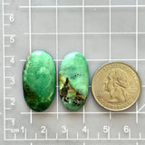 Large Deep Green Oval Crescent Lake Variscite, Set of 2 Dimensions