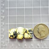Medium Yellow Bar Crescent Lake Variscite, Set of 3 Dimensions