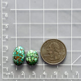 Medium Sea Green Oval Namtso Lake Turquoise, Set of 2 Dimensions