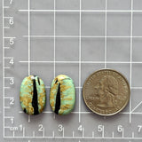 Large Mint Green Oval Crescent Lake Variscite, Set of 2 Dimensions