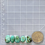 Small Mint Green Freeform Number 8 Turquoise, Set of 5 Dimensions