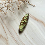 Large Sea Green Surfboard Treasure Mountain Turquoise Background