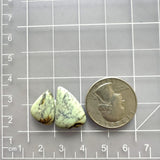 Small Light Yellow Teardrop Crescent Lake Variscite, Set of 2 Dimensions