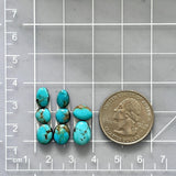 Small Sky Blue Mixed Sonora Turquoise, Set of 8 Dimensions