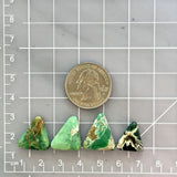 Medium Mixed Triangle Crescent Lake Variscite, Set of 4 Dimensions