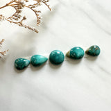 Small Sea Green Mixed Crescent Lake Variscite, Set of 5 Background