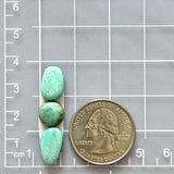 Small Faint Green Freeform Pilot Mountain Turquoise, Set of 3 Dimensions