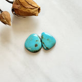 Small Sky Blue Freeform Sonora Turquoise, Set of 2 Background
