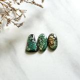 Medium Sea Green Mixed Treasure Mountain Turquoise, Set of 3 Background