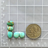 Small Sky Blue Freeform Tyrone Turquoise, Set of 5 Dimensions