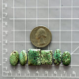 Medium Bamboo Green Mixed Treasure Mountain Turquoise, Set of 6 Dimensions