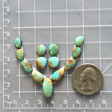 Small Sky Blue Mixed Number 8 Turquoise, Set of 13 Dimensions