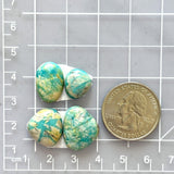Medium Mint Green Freeform Fox Turquoise, Set of 4 Dimensions