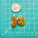 Large Earth Brown Mixed Golden Birch Turquoise, Set of 2 Dimensions